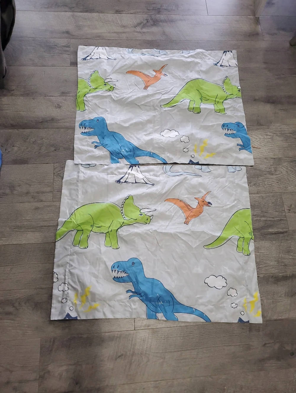 Full Dinosaur Comforter, Shams, Pillowcase And Blanket